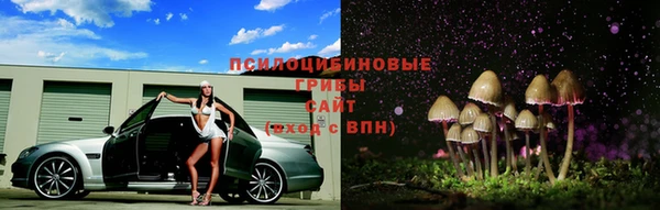 PSILOCYBIN Осинники