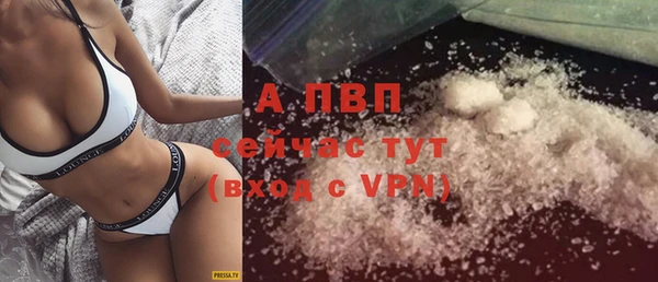 амф Валдай