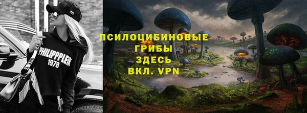 амф Валдай