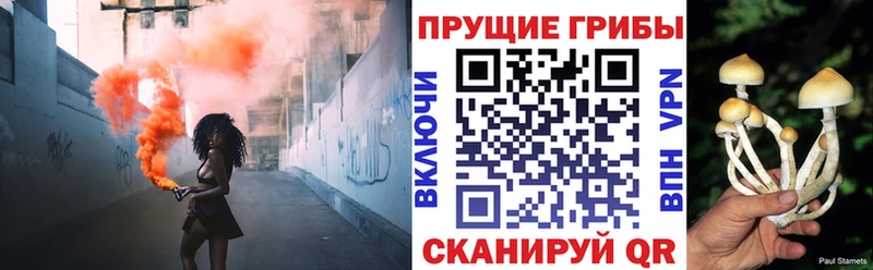 Псилоцибиновые грибы GOLDEN TEACHER  Елизаветинская 